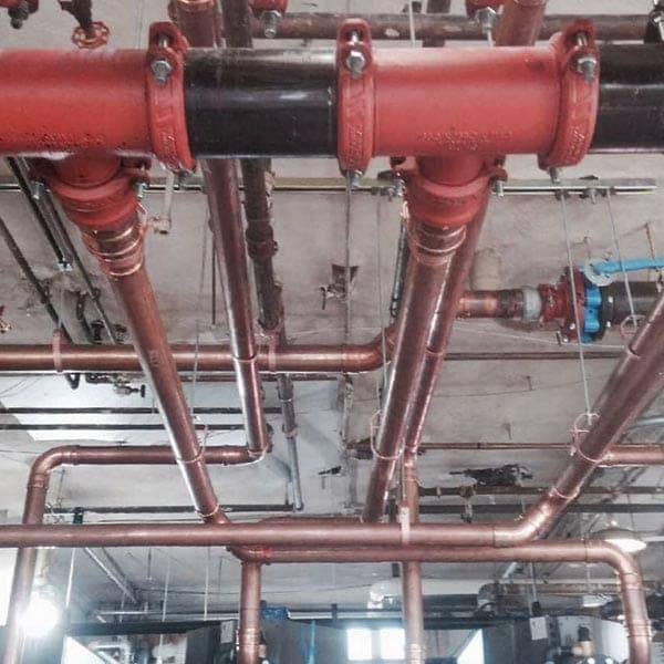 Westerly Apartments · Assisted Living · photo 12