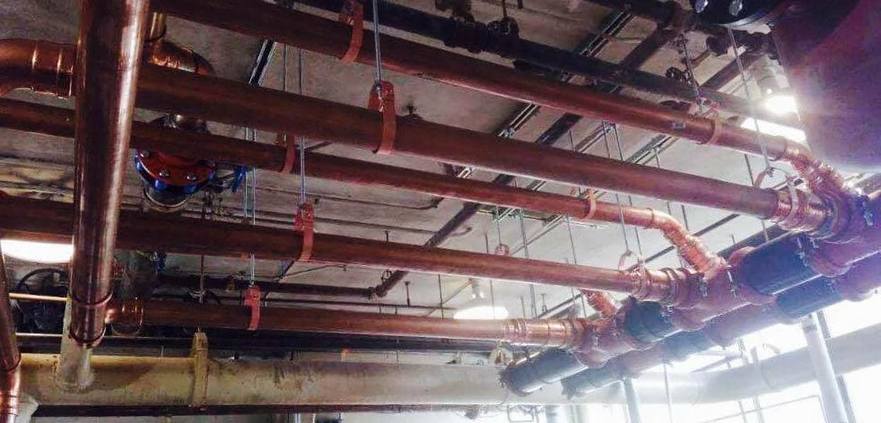 Westerly Apartments · Assisted Living · photo 15